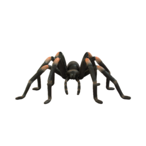 1' Tarantula Halloween Fiberglass Display