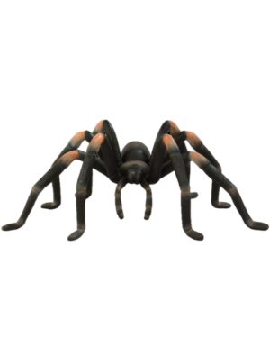 1' Tarantula Halloween Fiberglass Display