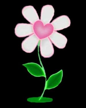 8' Valentine's Heart Daisy