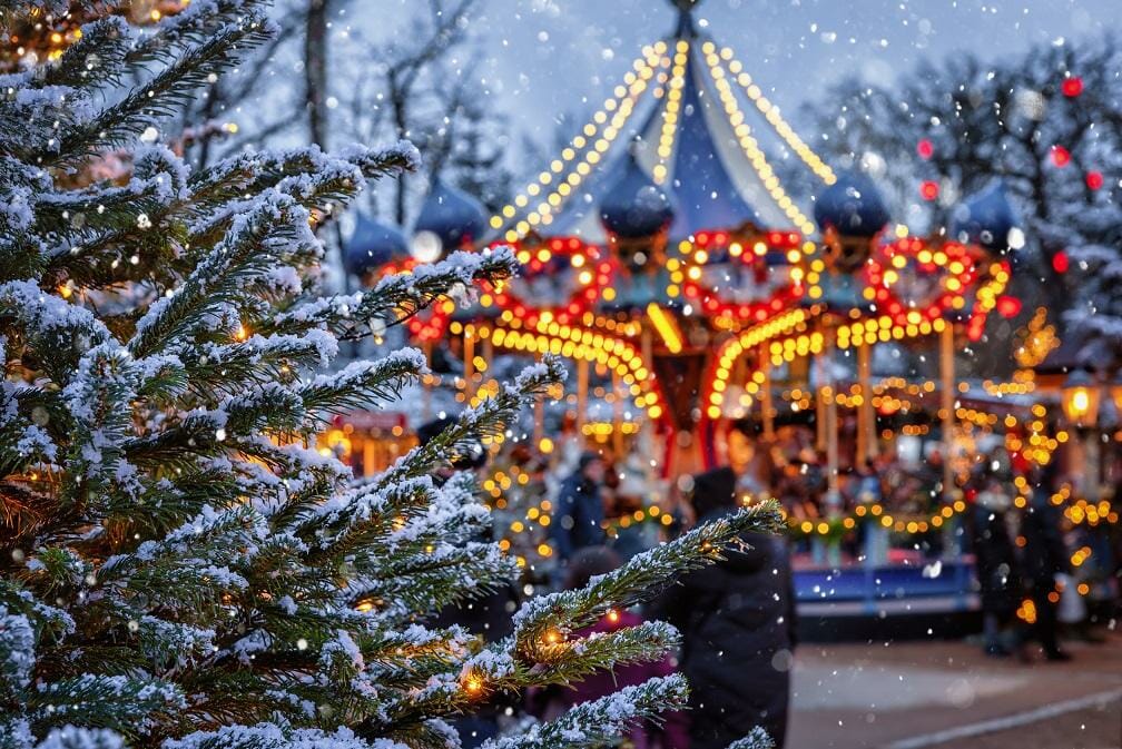 Commercial LED Christmas Lights