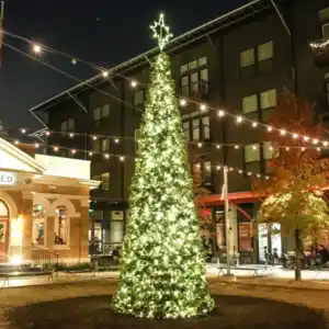 Pop Up Trees