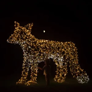 Commercial Christmas Decor
