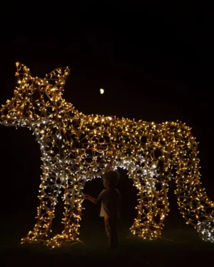 Commercial Christmas Decor