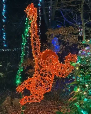 3D Orangutang Light Display