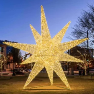 6.5' Design Star Dimensional Display