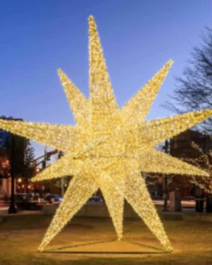 6.5' Design Star Dimensional Display