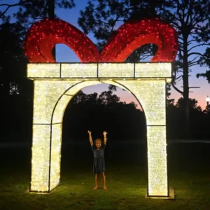 GIFTBOX ARCH