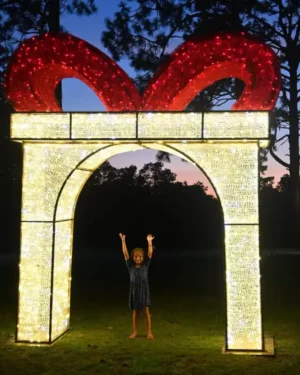 GIFTBOX ARCH