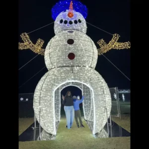 Commercial Christmas Decor