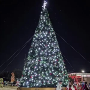 26-foot commercial Christmas panel tree with white lights installed outdoors at night