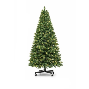 Sequoia Christmas Trees