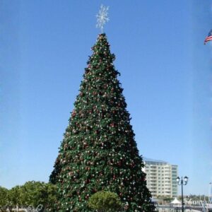 Giant Panel Tree