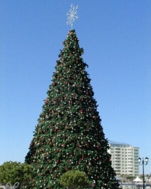 Giant Panel Tree