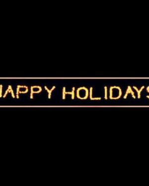 3' Happy Holidays Holiday Light Display