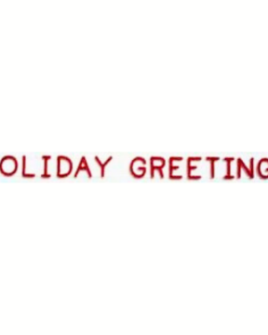 3' Holiday Greetings Holiday Light Display