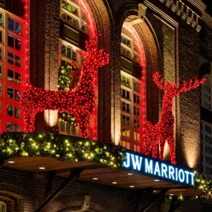 CREATIVE DISPLAYS 10 FOOT RED GRAPEVINE DEER DIMENSIONAL LIGHT DISPLAY