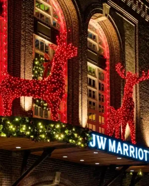 CREATIVE DISPLAYS 10 FOOT RED GRAPEVINE DEER DIMENSIONAL LIGHT DISPLAY