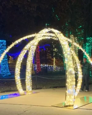 9' Shimmering Walk Through 3 Ring Arch