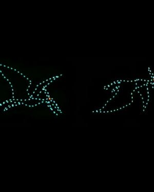 5' Animated Pterodactyl Holiday Light Display