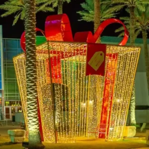 Lighted Gift box