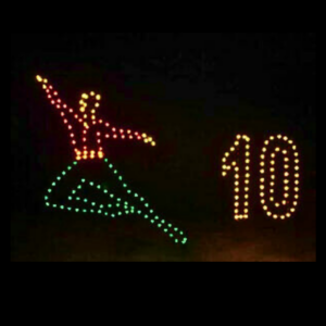 8' Twelve Days Of Christmas - Day 10 Holiday Light Display