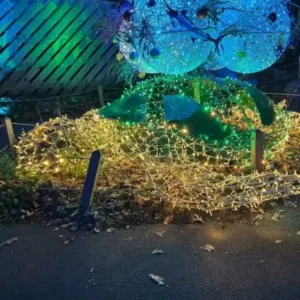 3D Sea Turtle Light Display
