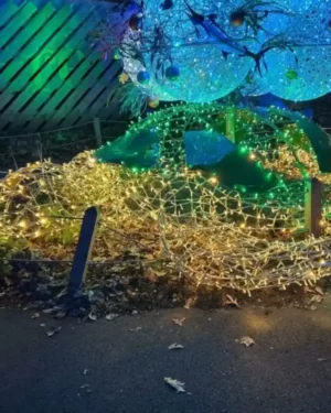 3D Sea Turtle Light Display