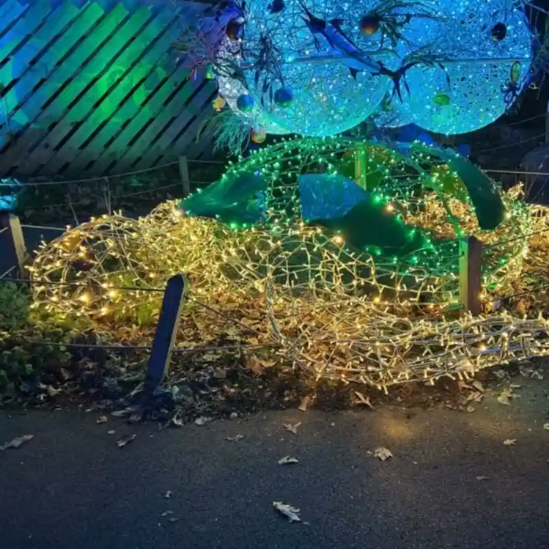 3D Sea Turtle Light Display