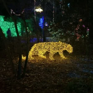 3D Leopard Light Display