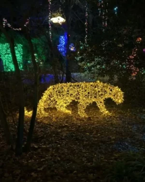 3D Leopard Light Display