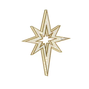 6.5' 3D LED Bethlehem Star Dimensional Display (1)