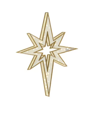 6.5' 3D LED Bethlehem Star Dimensional Display (1)