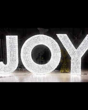 6' Joy Mesh Letter Dimensional Display