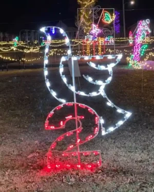 8' Twelve Days of Christmas - Day 2 Holiday Light Display