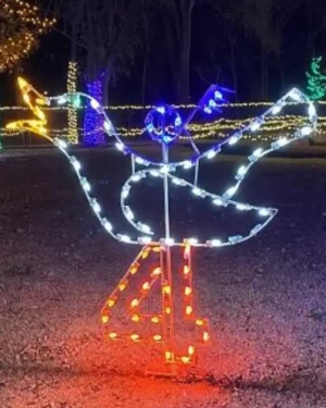 8' Twelve Days Of Christmas - Day 4 Holiday Light Display