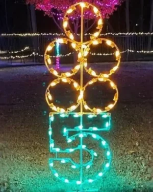 8' Twelve Days Of Christmas - Day 5 Holiday Light Display