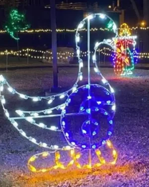 8' Twelve Days Of Christmas - Day 6 Holiday Light Display
