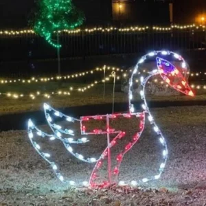8' Twelve Days Of Christmas - Day 7 Holiday Light Display