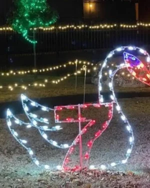 8' Twelve Days Of Christmas - Day 7 Holiday Light Display