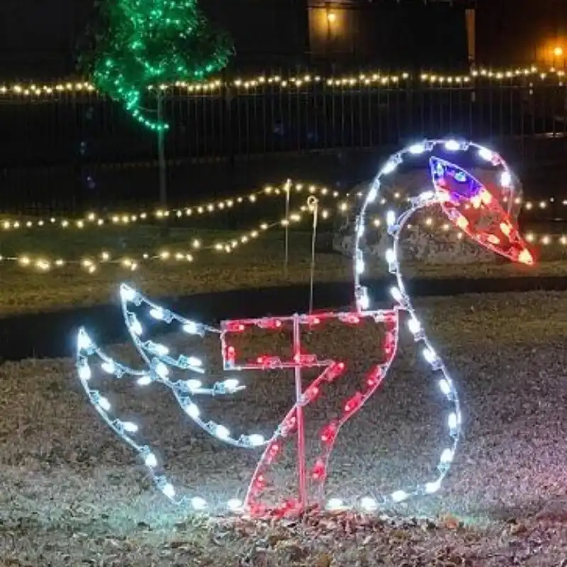 8' Twelve Days Of Christmas - Day 7 Holiday Light Display