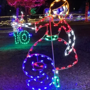 Creative Displays 12 Days of Christmas Day 9 Holiday Light Display