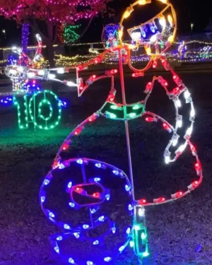 Creative Displays 12 Days of Christmas Day 9 Holiday Light Display