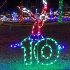 8' Twelve Days Of Christmas - Day 10 Holiday Light Display