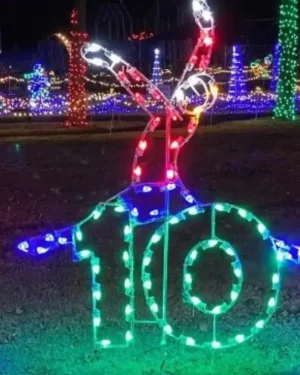 8' Twelve Days Of Christmas - Day 10 Holiday Light Display