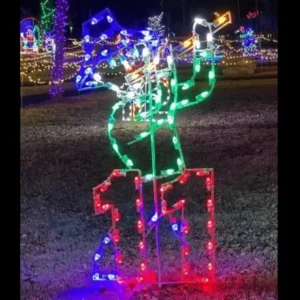 8' Twelve Days Of Christmas - Day 11 Holiday Light Display