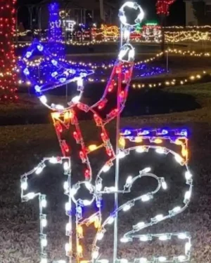 8' Twelve Days Of Christmas - Day 12 Holiday Light Display