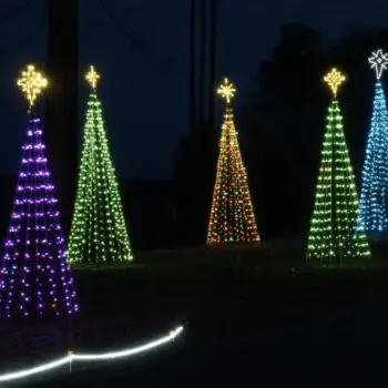 Row of illuminated tree of lights