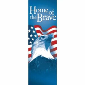 Star Spangled Brave Eagle Street Banner 11931