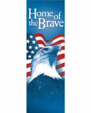 Star Spangled Brave Eagle Street Banner 11931