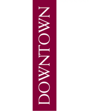 Downtown Side Car Street Banner